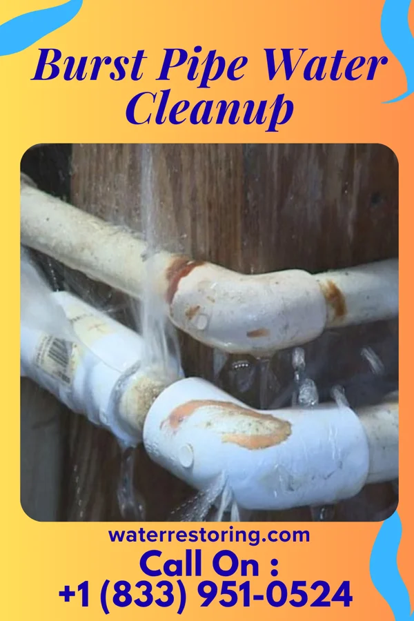 Burst Pipe Water Cleanup in Berwick, PA