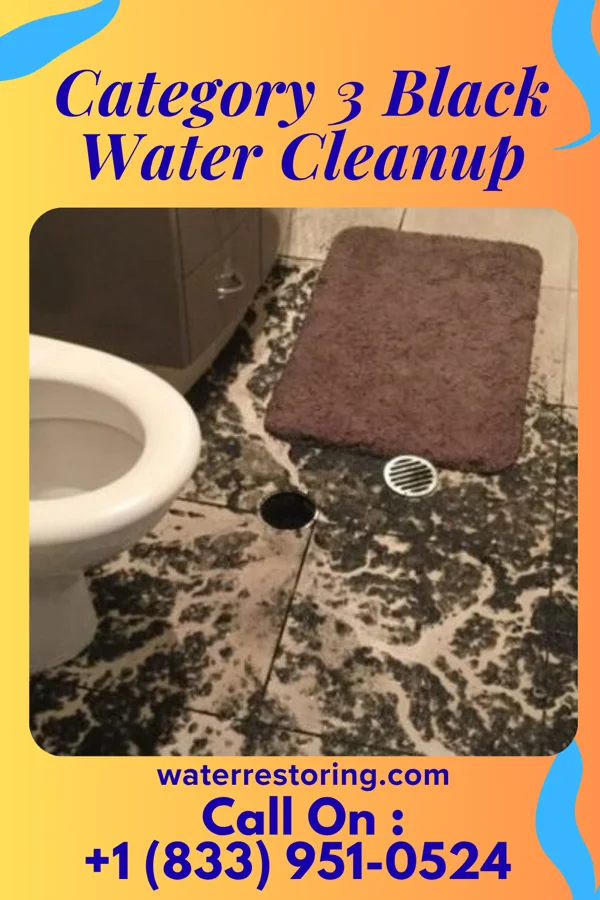Category 3 Black Water Cleanup in Berwick, PA