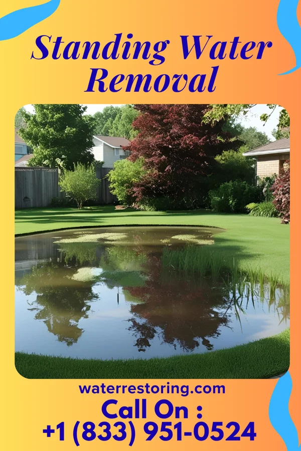 Standing Water Removal in Berwick, PA